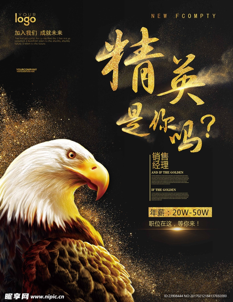 招聘精英