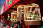 龙潭湖 庙会
