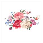 水彩花朵画