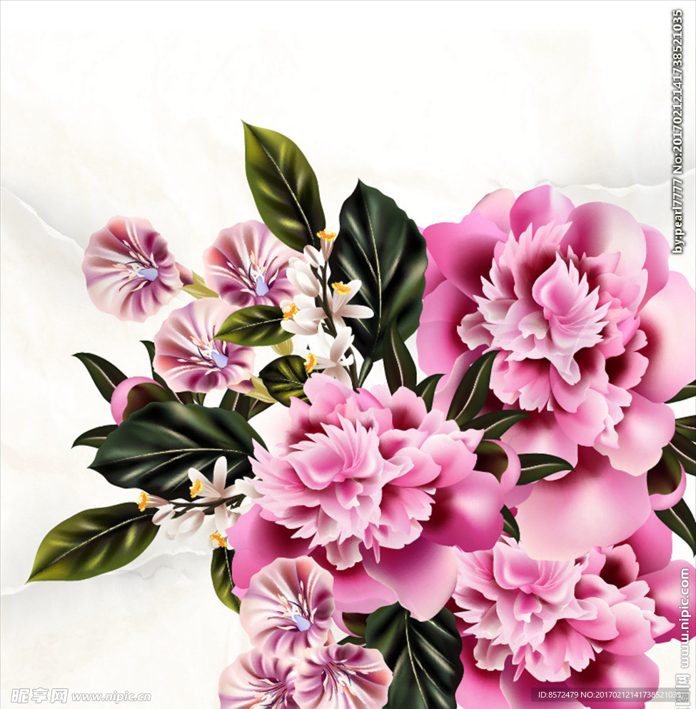 粉色牡丹花