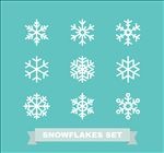 冬季白色雪花