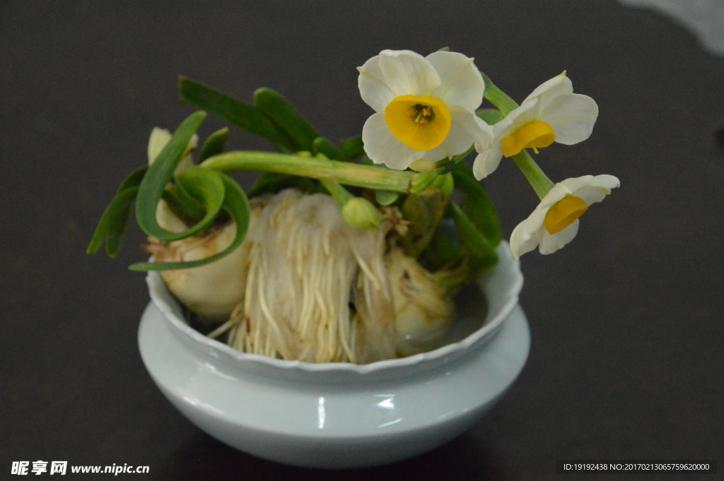 水仙花