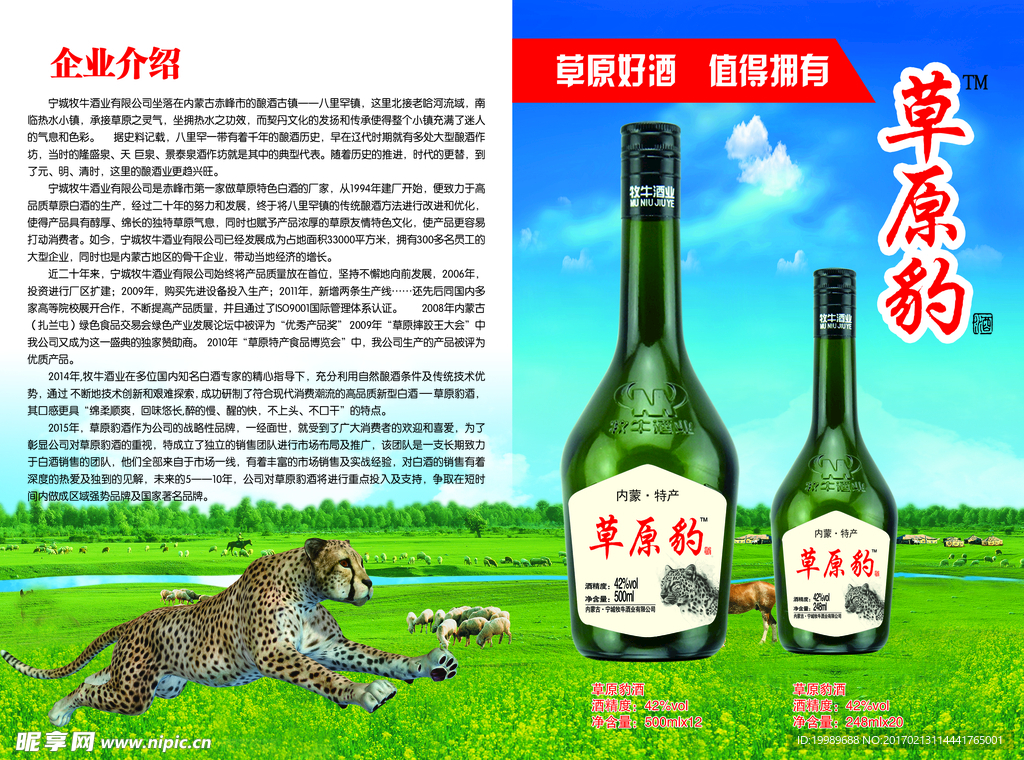 草原豹招商单页