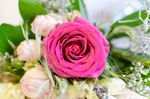 鲜花