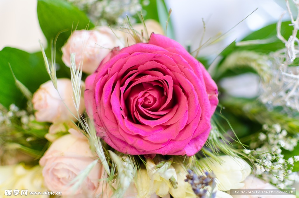 鲜花