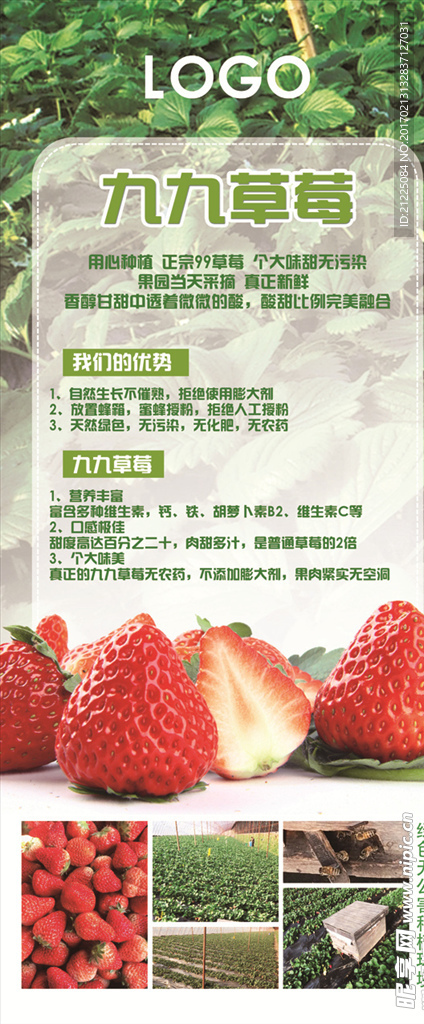 草莓展架
