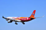 彩绘飞机 人民网 东方航空