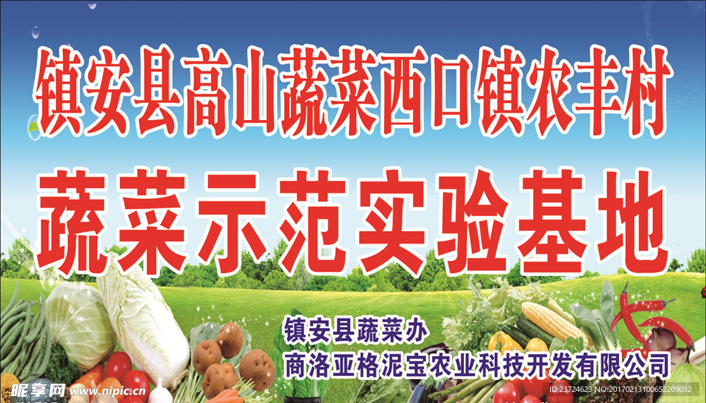 蔬菜示范基地