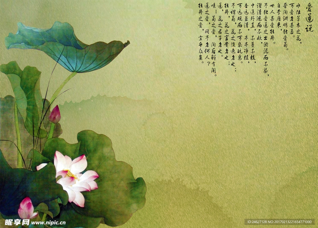 荷花