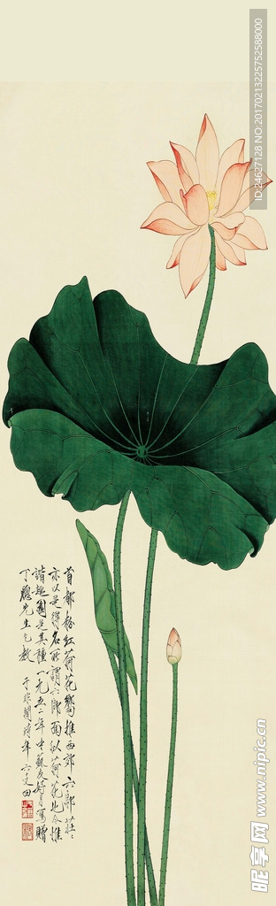 荷花