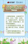 盆栽DIY 指示牌