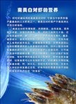 海鲜海报宣传
