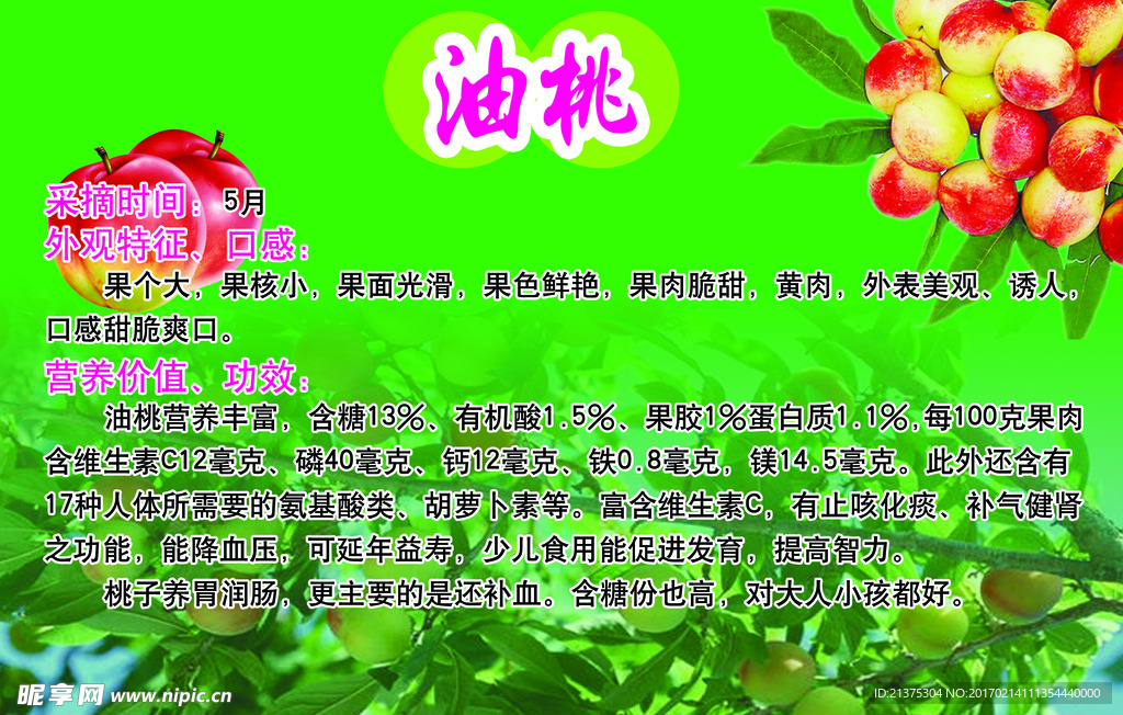 油桃