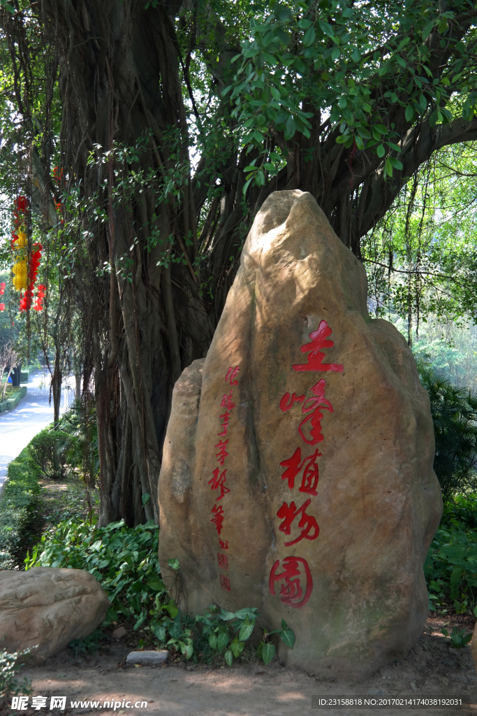 广东新会植物园