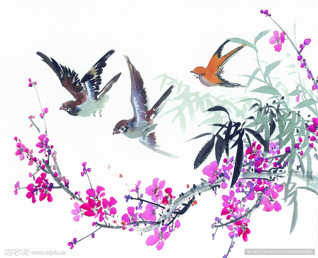 国画花鸟