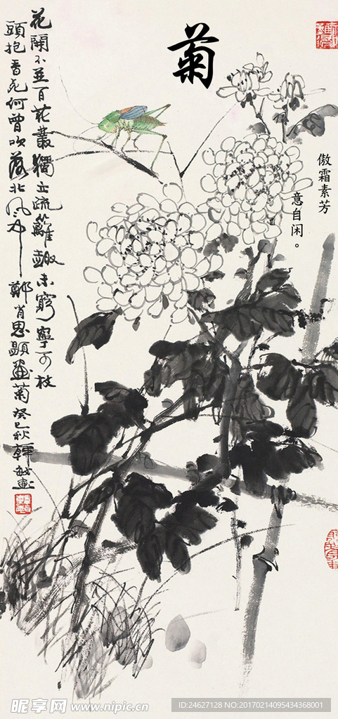 菊