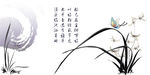 兰花