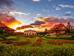 黄昏花园