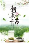 茶叶海报