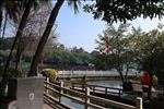 玉湖风景