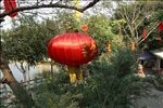 玉湖大红灯笼高高挂