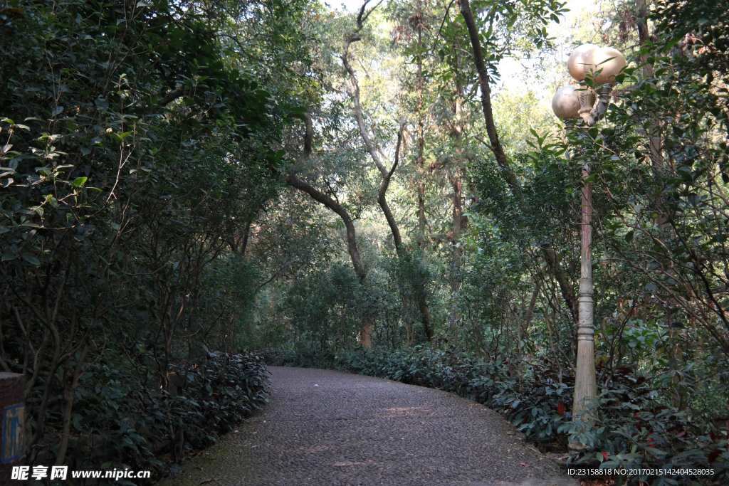 鹅卵石小路散步风景