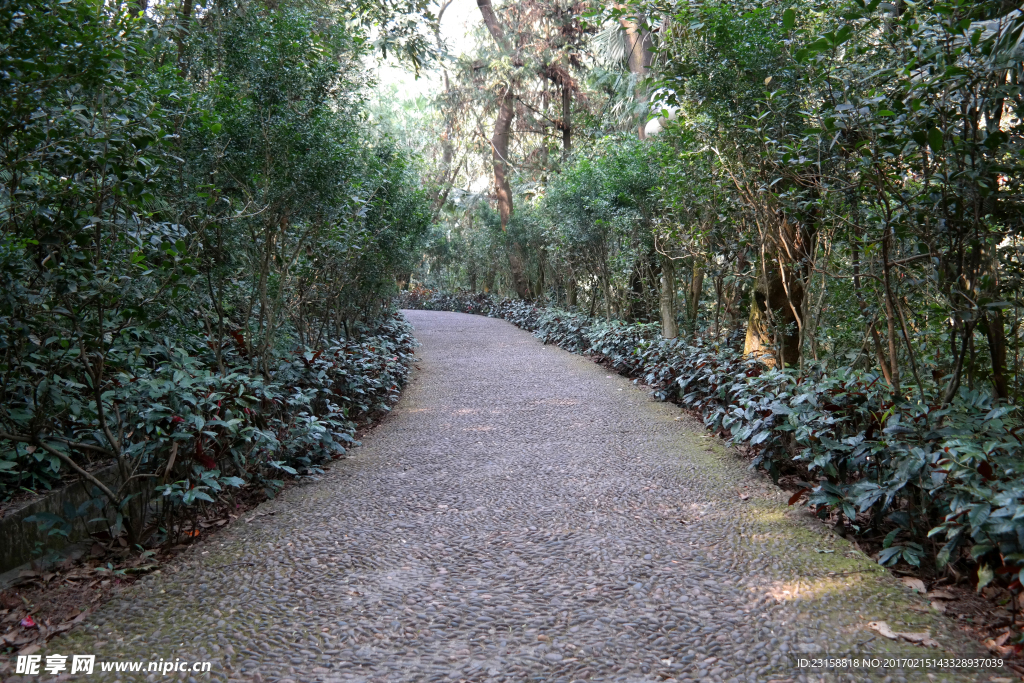 圭峰山鹅卵石小路