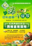 端午