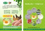 农家产品