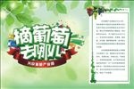 葡萄广告