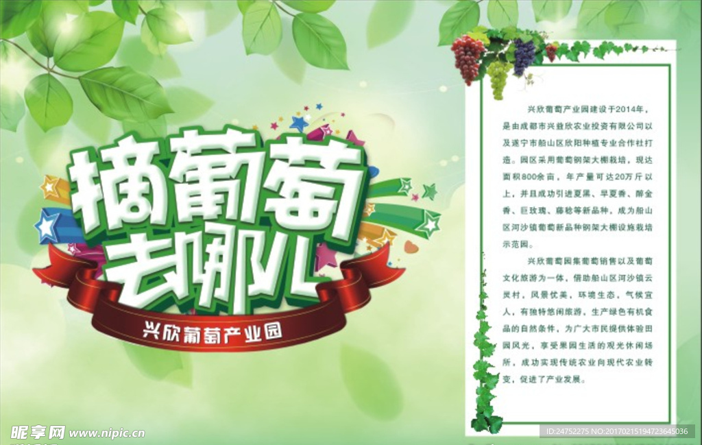 葡萄广告