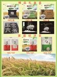大米单页反面