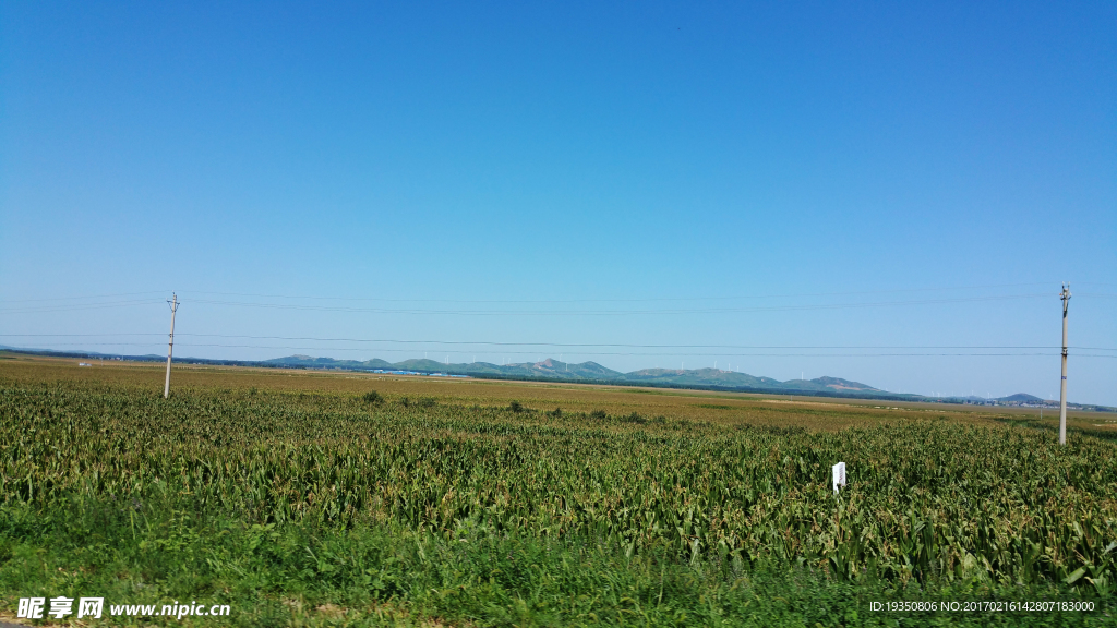 田野 蓝天