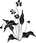 草本植物矢量图