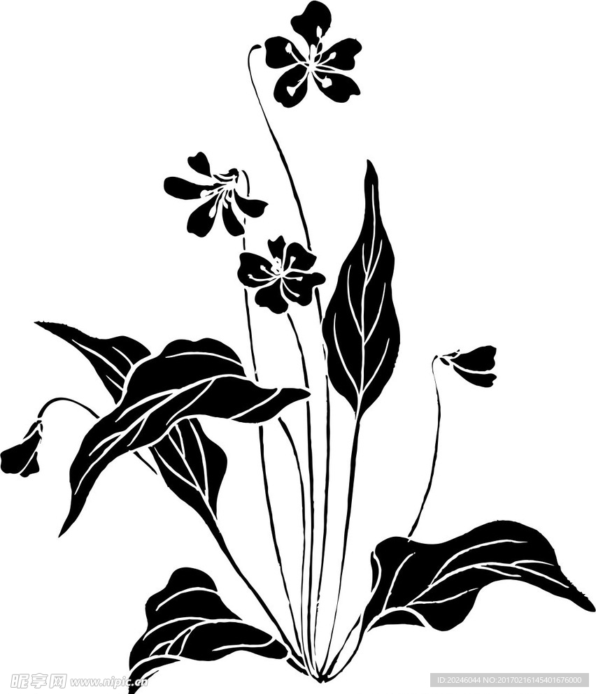 草本植物矢量图