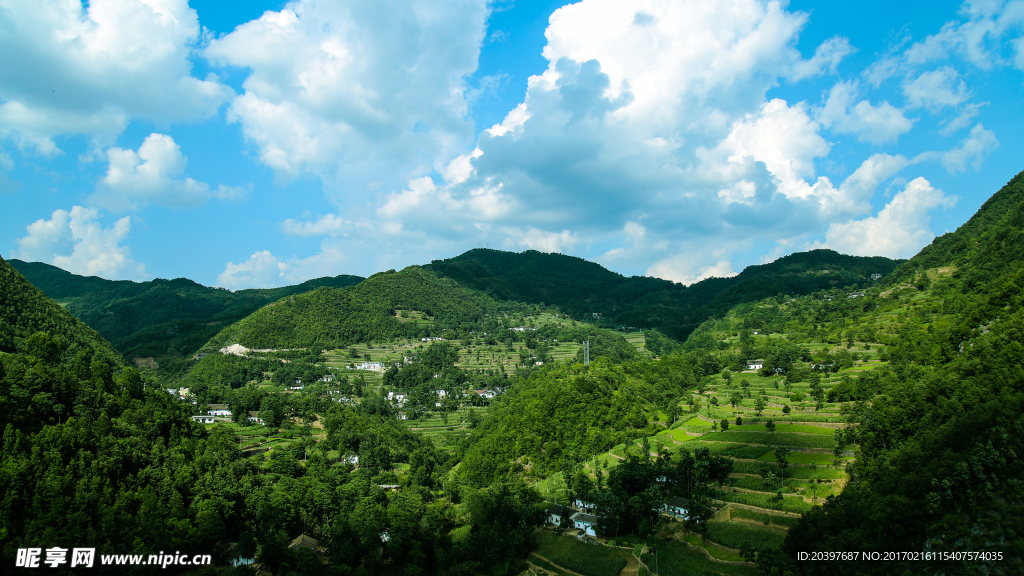 秦岭山中