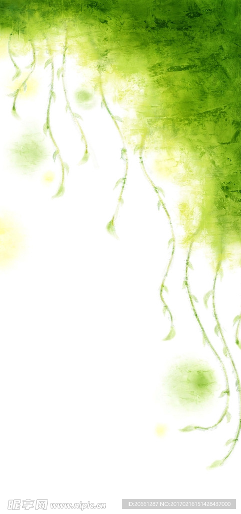 藤蔓植物