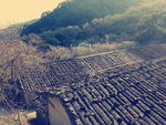 农村