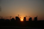 夕阳下的发展