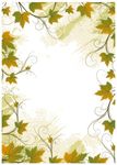 花纹