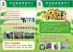 健康宣传页