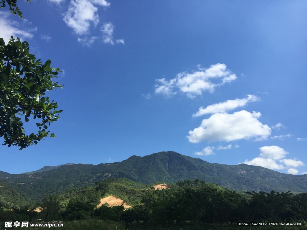 青山白云