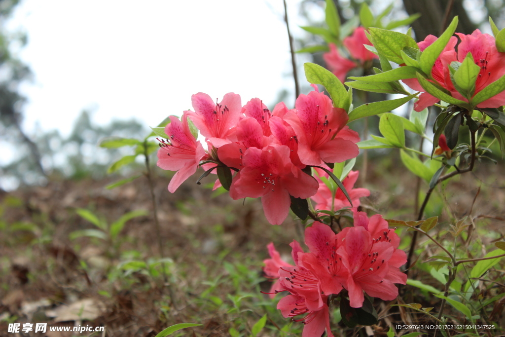 春暖花开