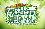 春游踏青
