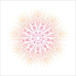 莲花花纹