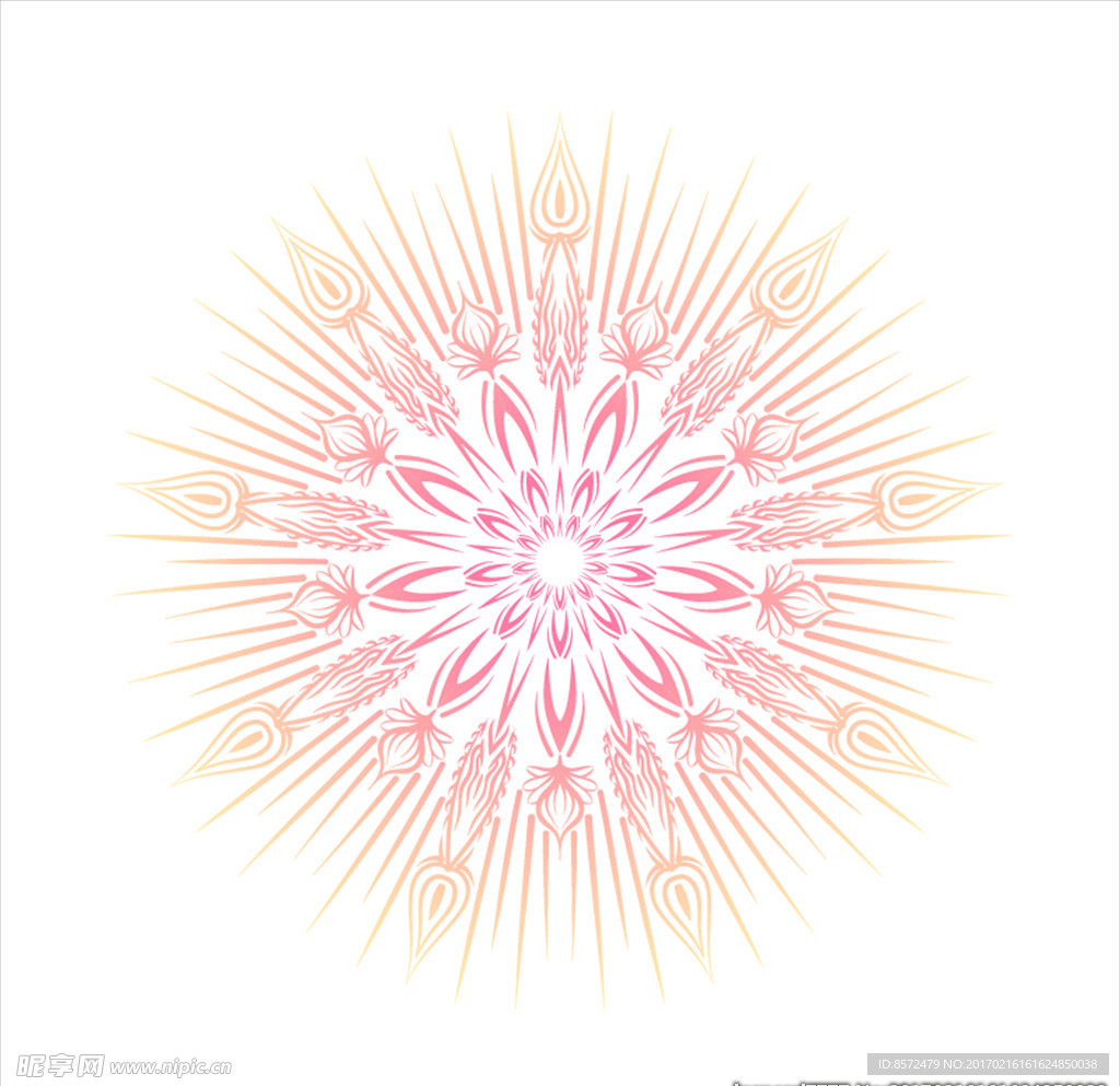 莲花花纹