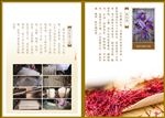 西红花面条内页