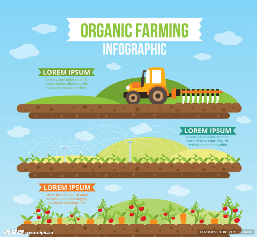 创意有机农业信息图设计矢量素材