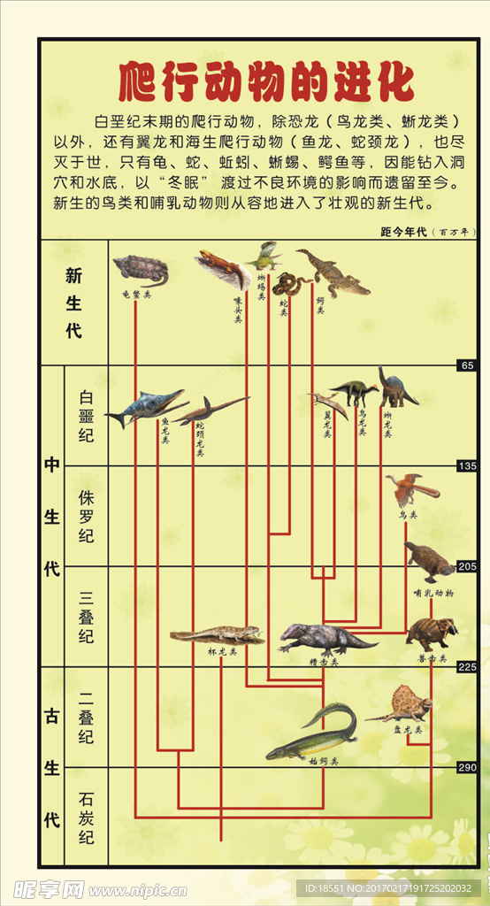 生物展板——爬行动物的进化