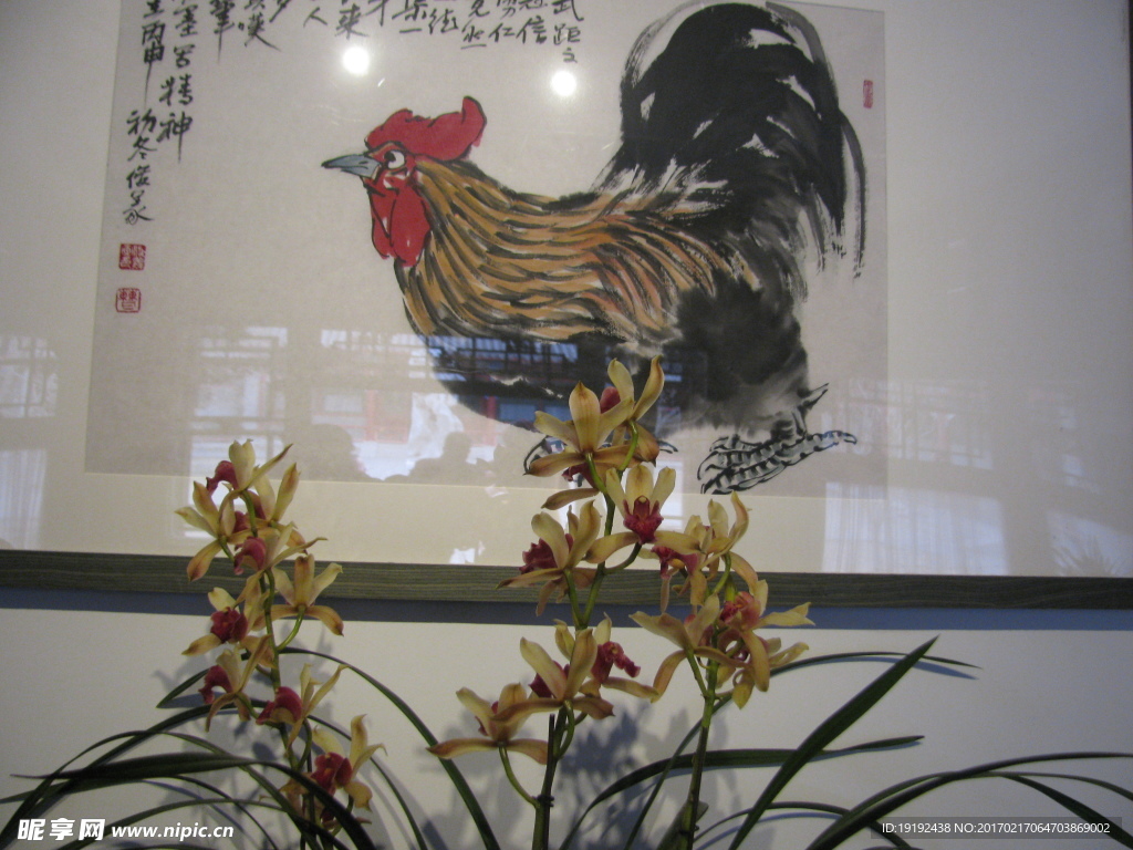 兰花
